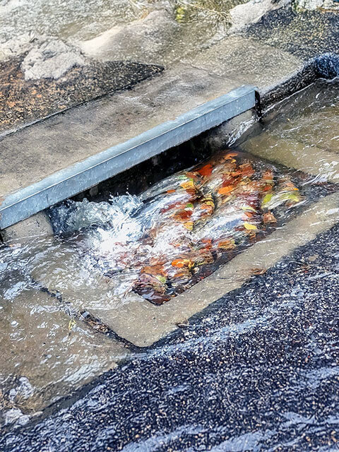 Blocked Drains